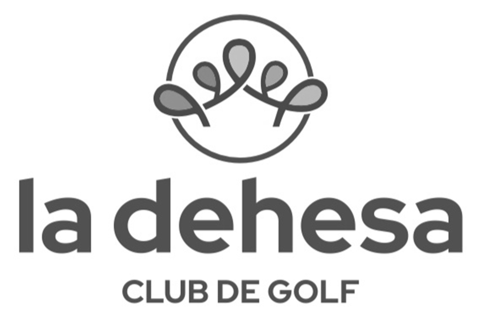 //www.trialgolf.com/wp-content/uploads/2025/09/dehesa_golf_gris_web.jpg