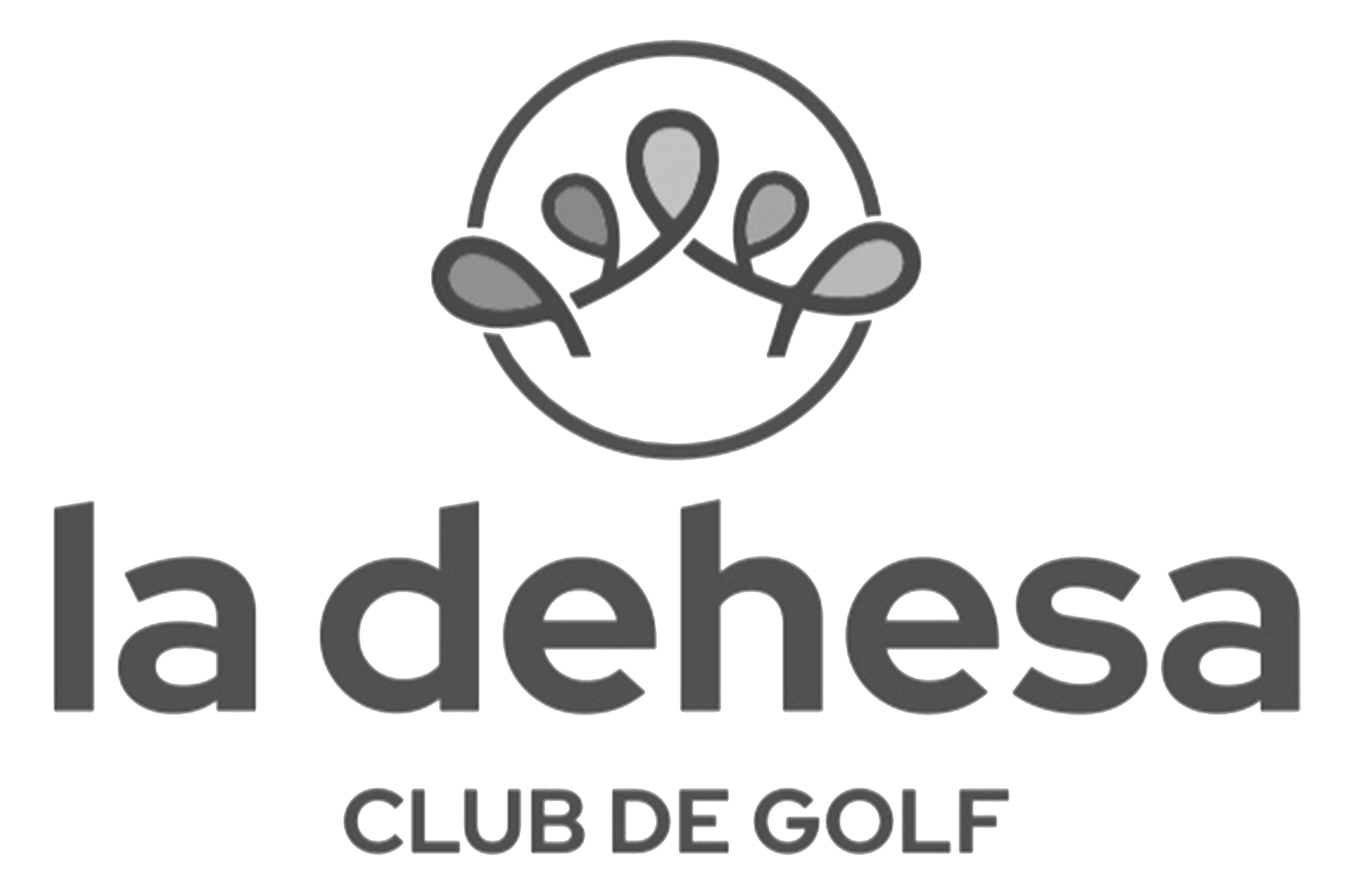 //www.trialgolf.com/wp-content/uploads/2025/09/dehesa_golf_gris_web.png